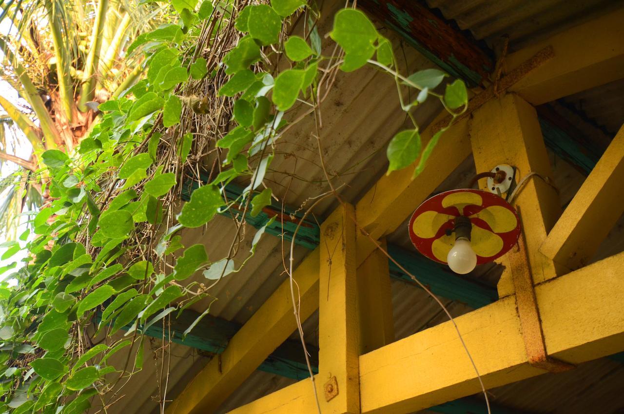 Sky Gift Traditional Farm B&B Dongshi  Exterior foto